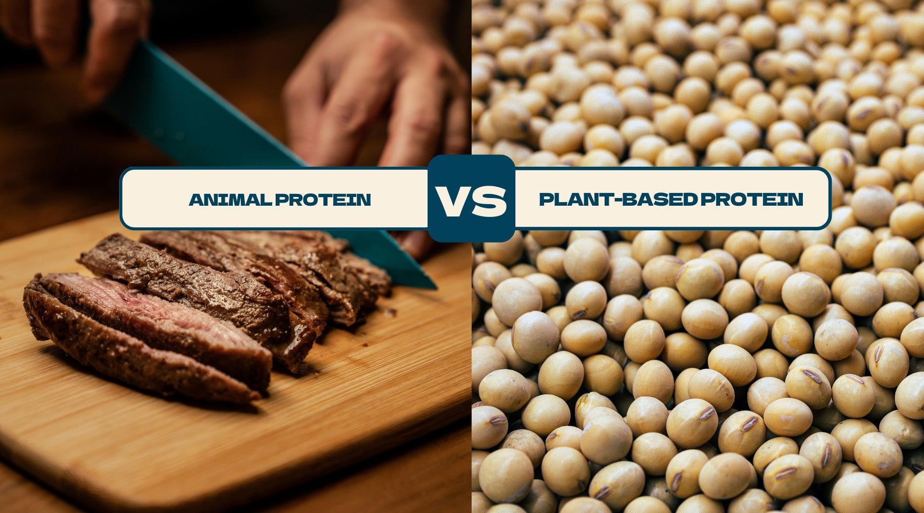 Is Animal Protein Better than Plant-Based Protein?